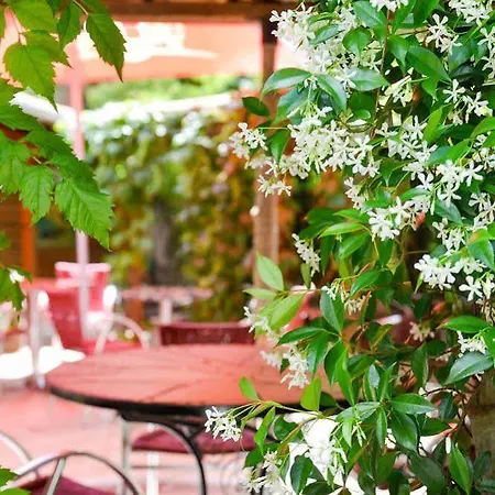 Restaurant Atipyc Marssac-sur-Tarn
